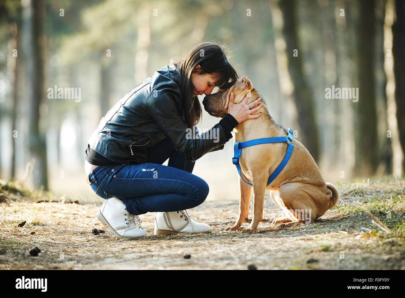 girl with dog in the park Stock Photo - Alamy