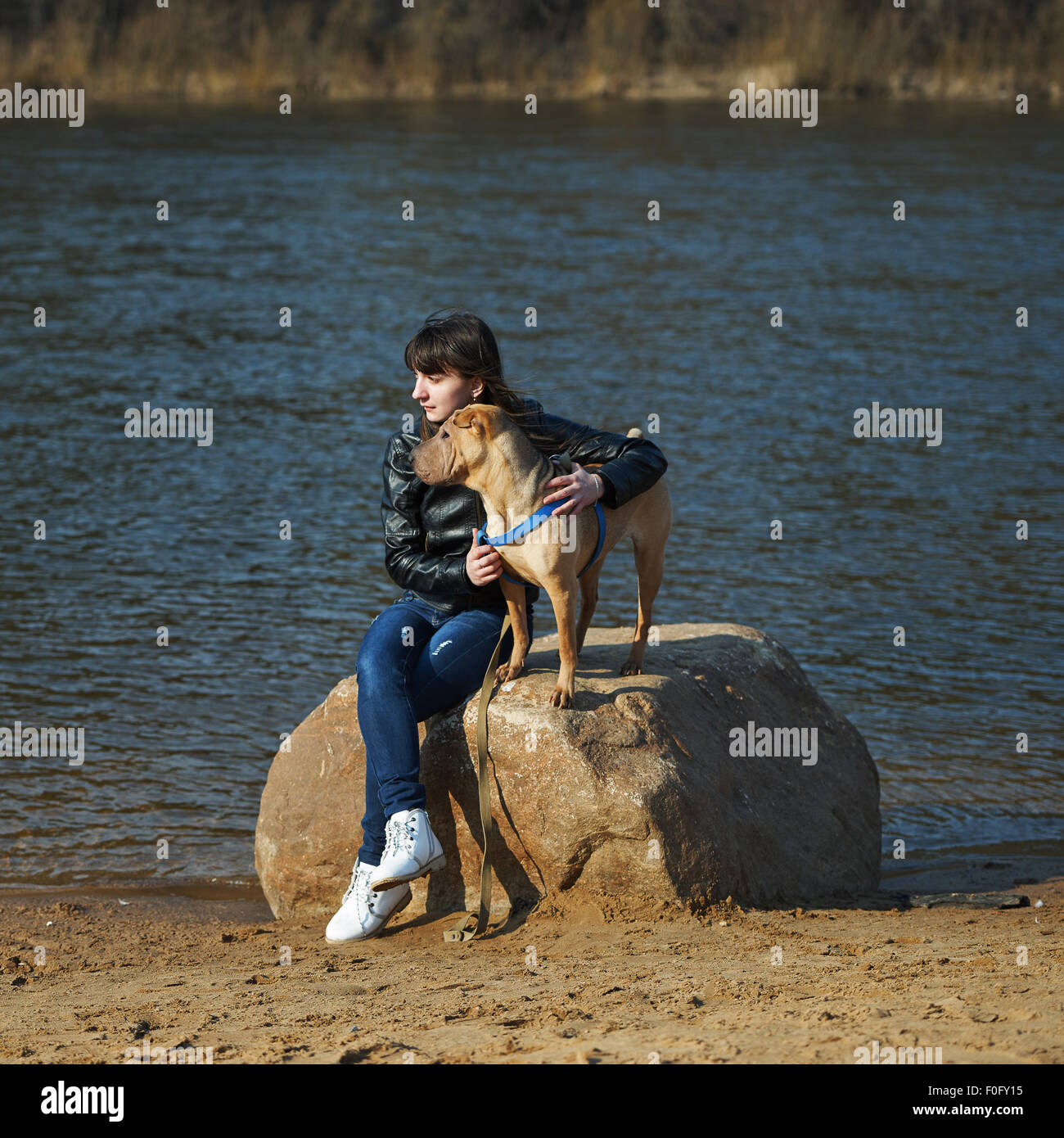 girl with dog in the park Stock Photo - Alamy