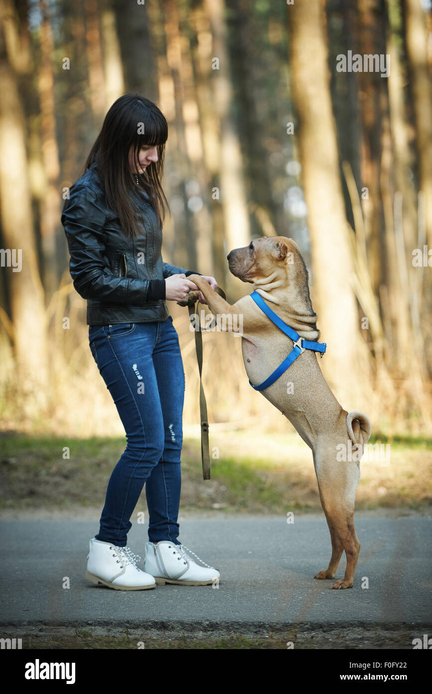 girl with dog in the park Stock Photo - Alamy
