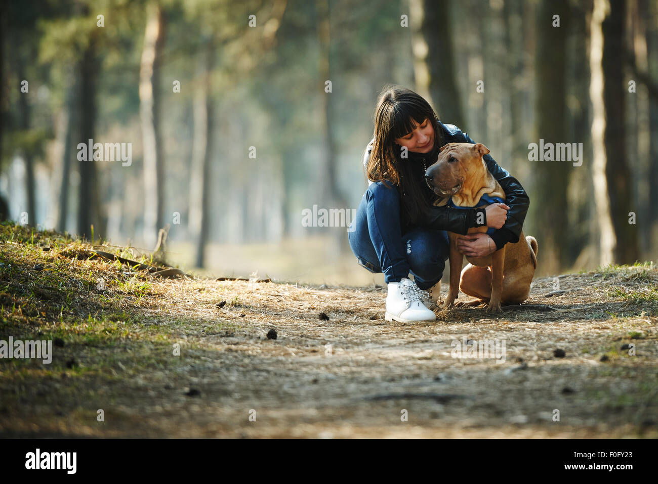 girl with dog in the park Stock Photo - Alamy