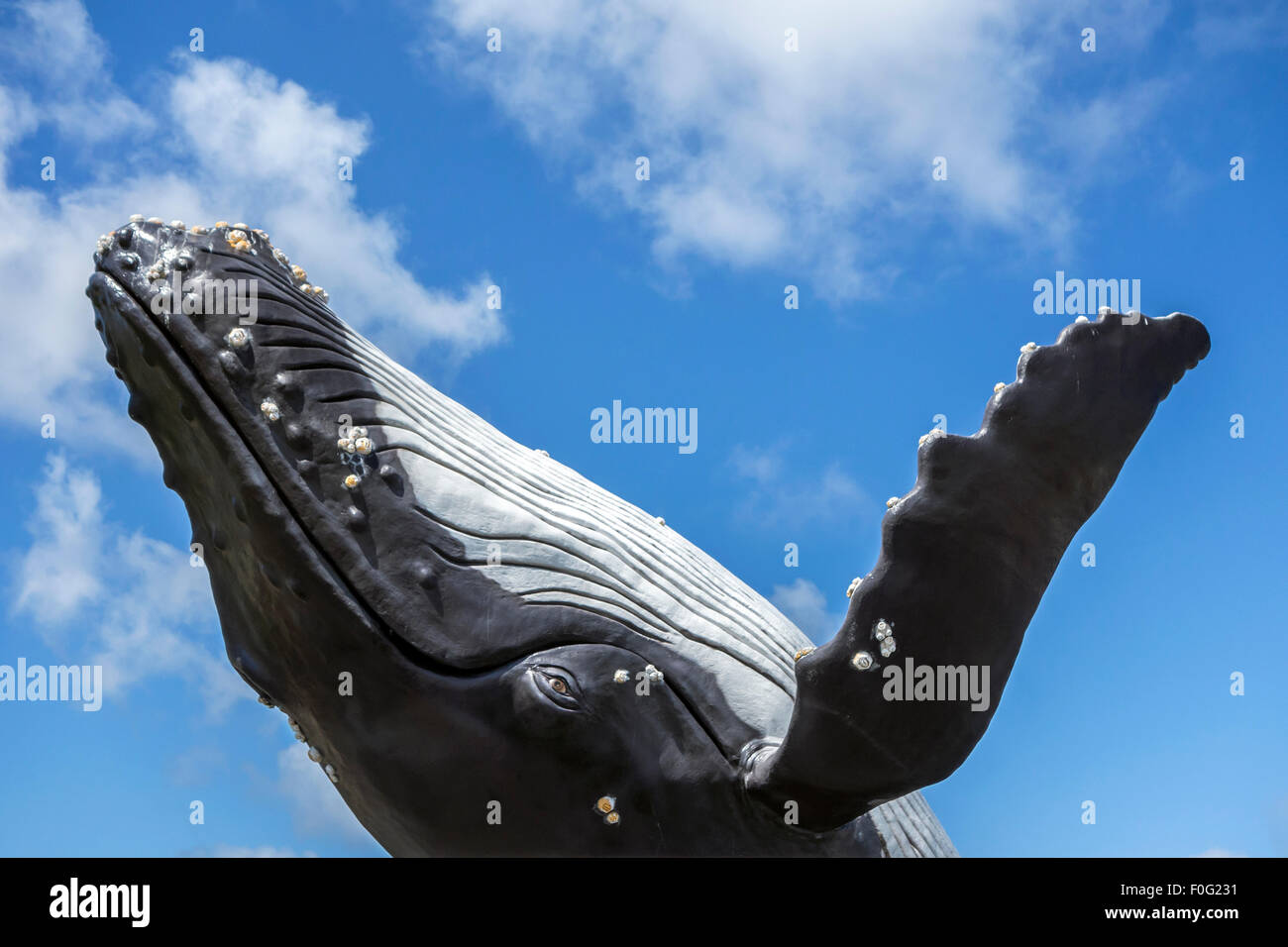 Sculpture of breaching humpback whale (Megaptera novaeangliae) against blue sky Stock Photo