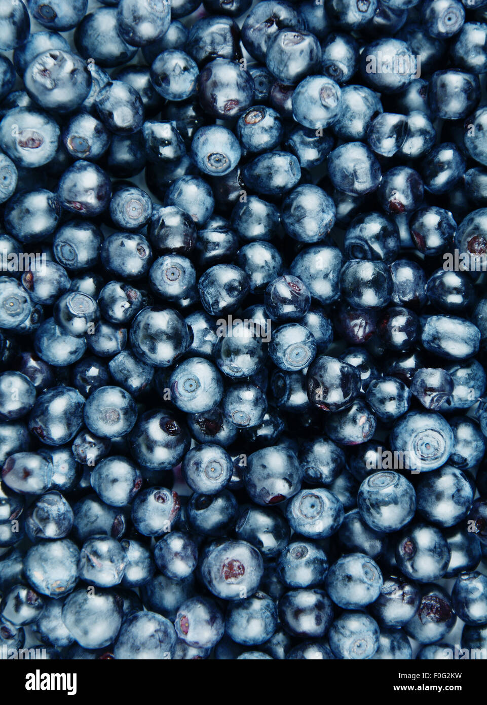 Fresh sweet juicy blueberry background closeup shot Stock Photo
