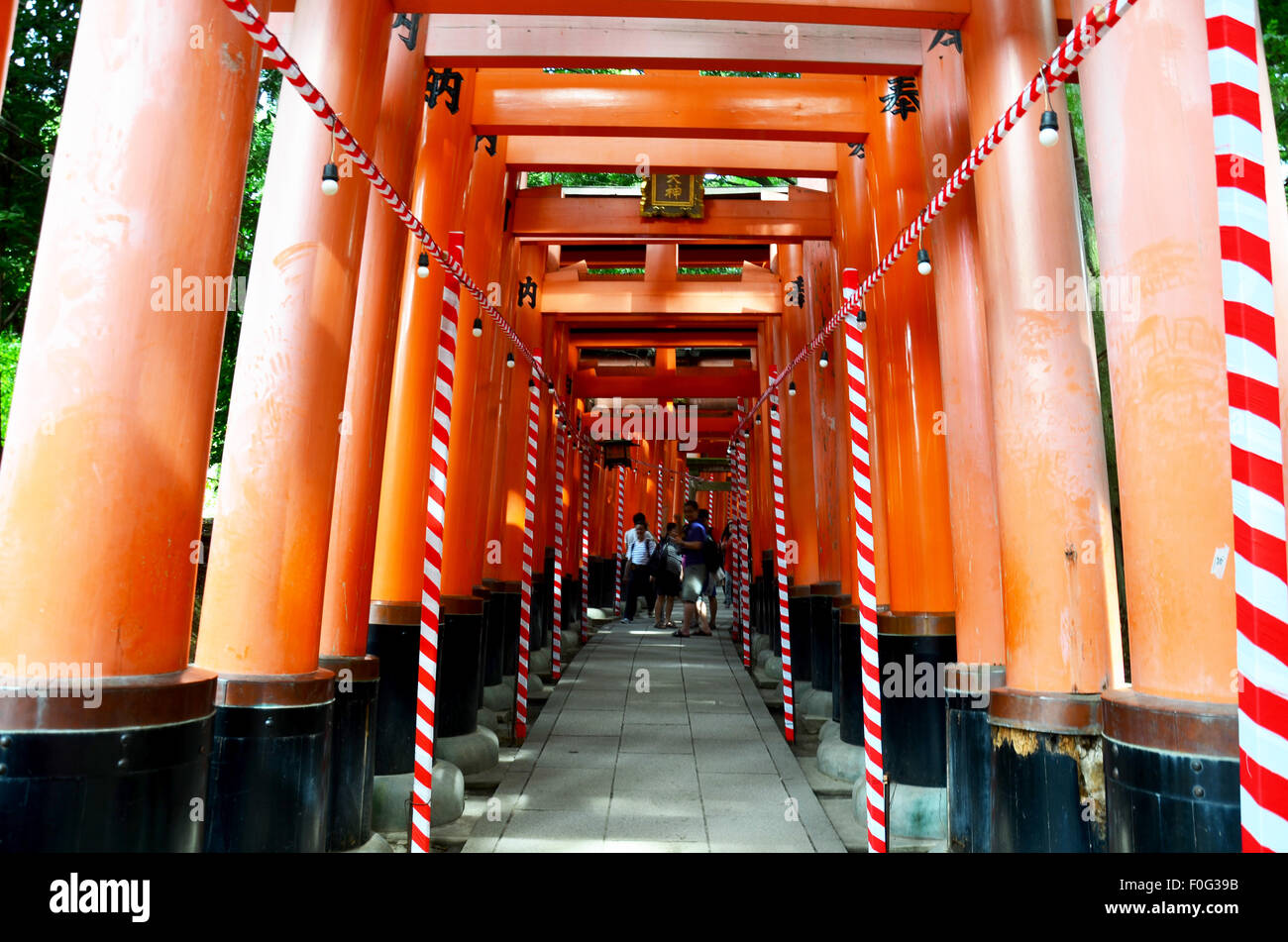 People travel and walking path inside through a tunnel of torii gates ...