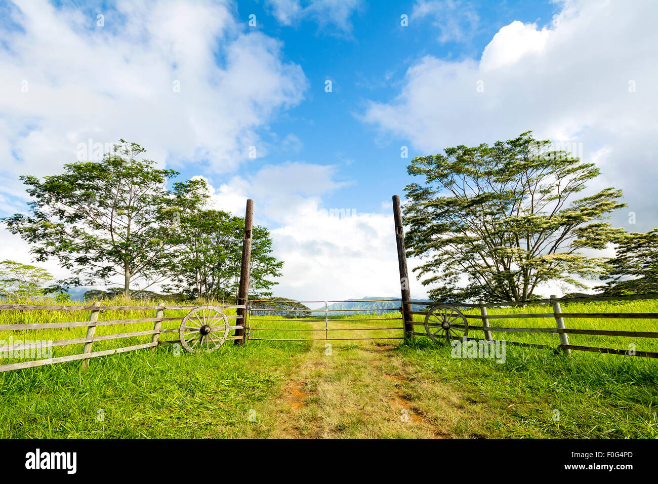 Front entrance gates to a countryside ranch in Kauai Hawaii are adorned with old wagon wheels to provide a western motif. Stock Photo