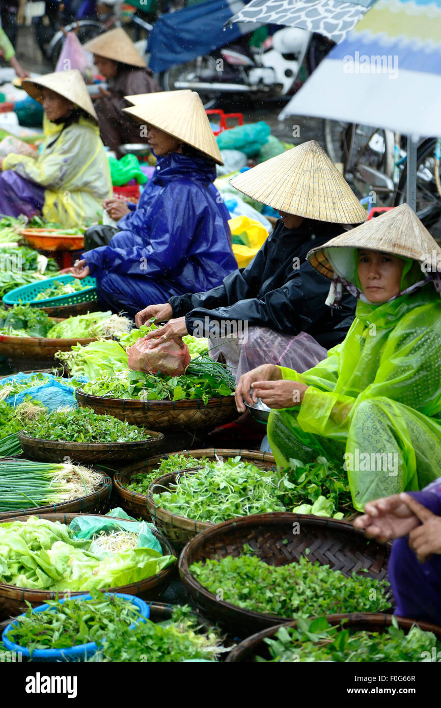 Row of women selling greens, Central Market, Hoi An, Vietnam Stock Photo