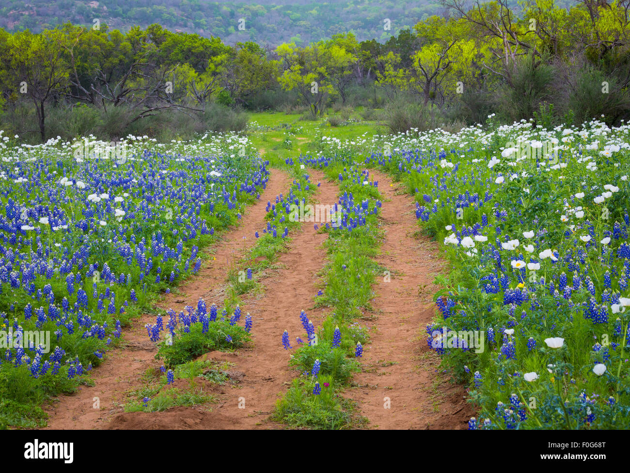 The Texas Hill Country is a twenty-five county region of Central Texas and South Texas Stock Photo