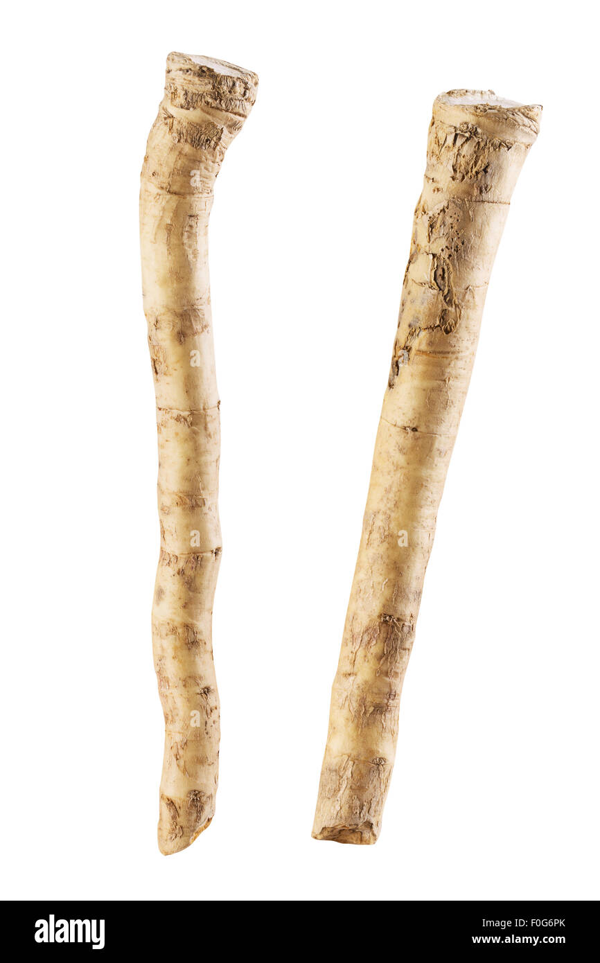 fresh horseradish root on white background. Clipping Path Stock Photo
