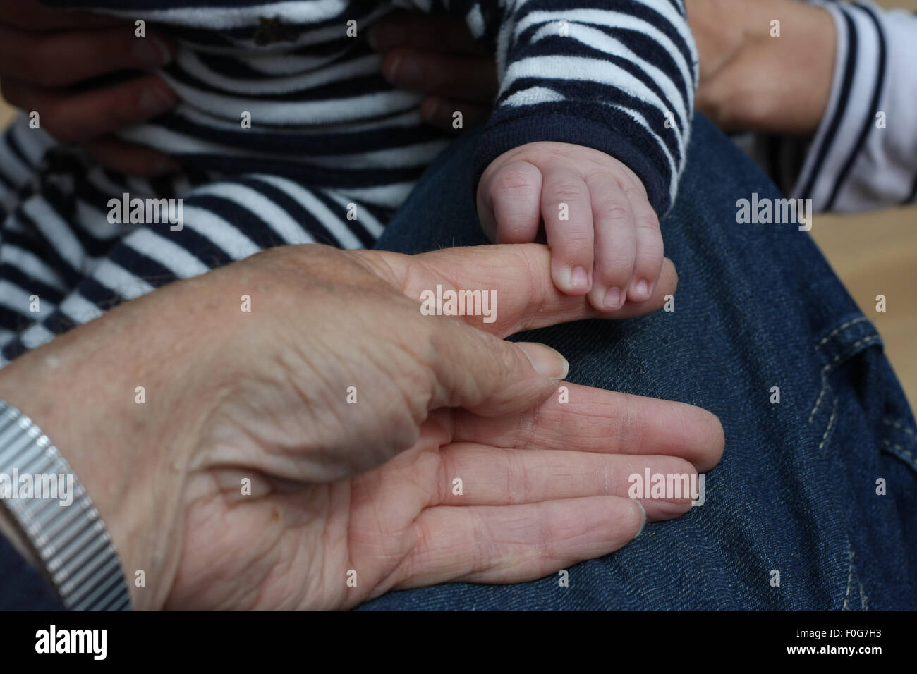 A baby baby holds an adult's hand Stock Photo