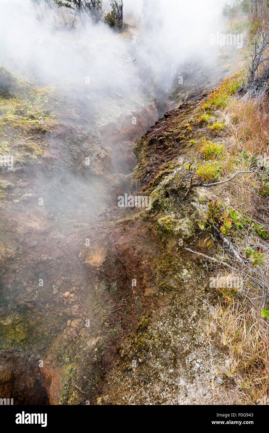 Natural steam rising from volcanic steam vents in the earth at Volcano National Park, Kilauea
