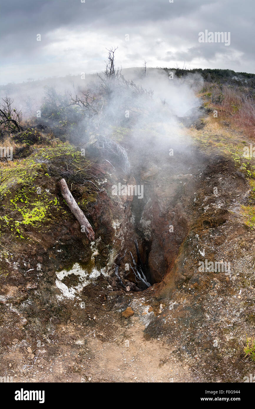 Natural steam rising from volcanic steam vents in the earth at Volcano National Park, Kilauea