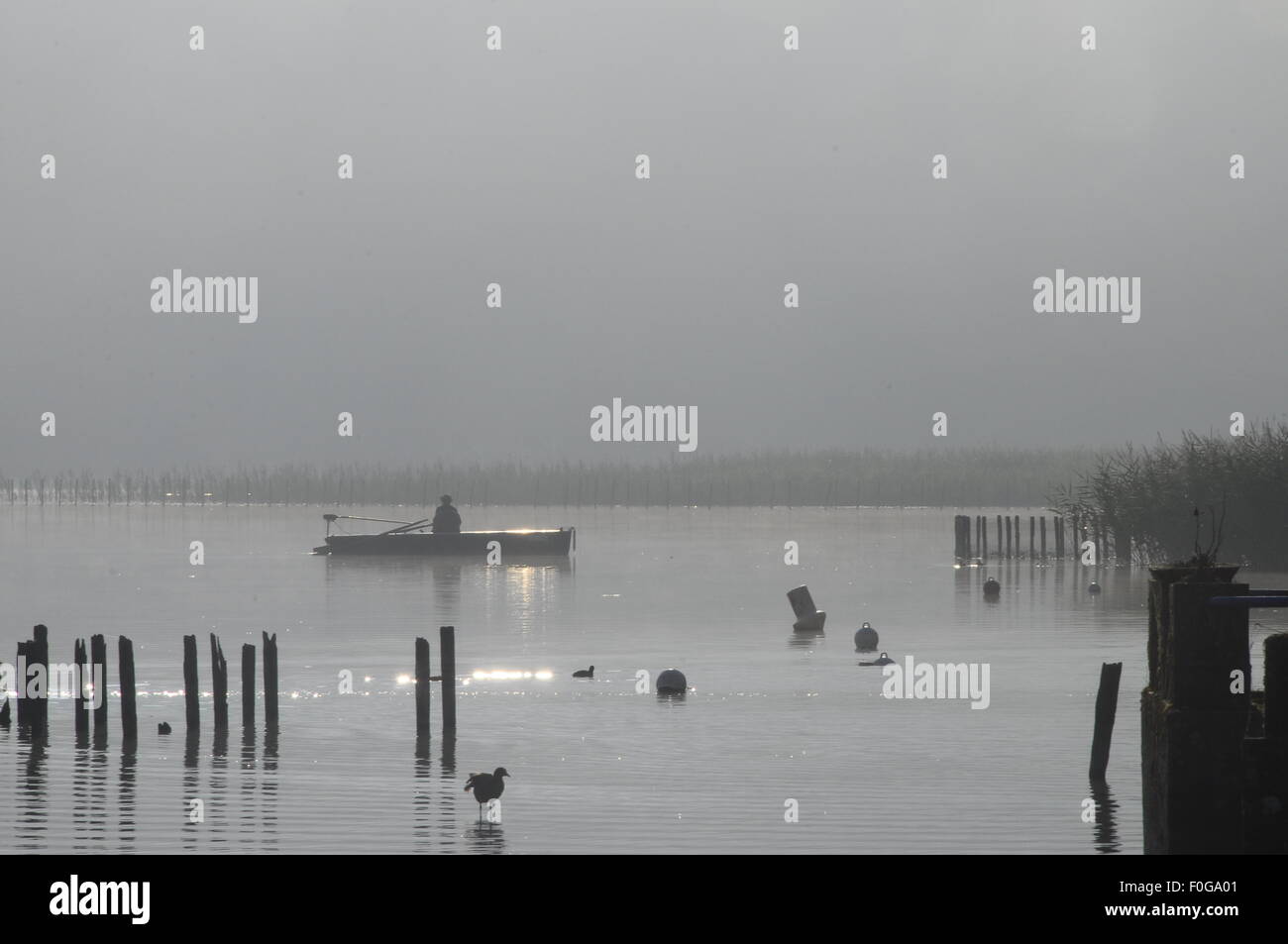 Scenic view of Aiguebelette lake and fisherman on morning, in Savoy, France Stock Photo