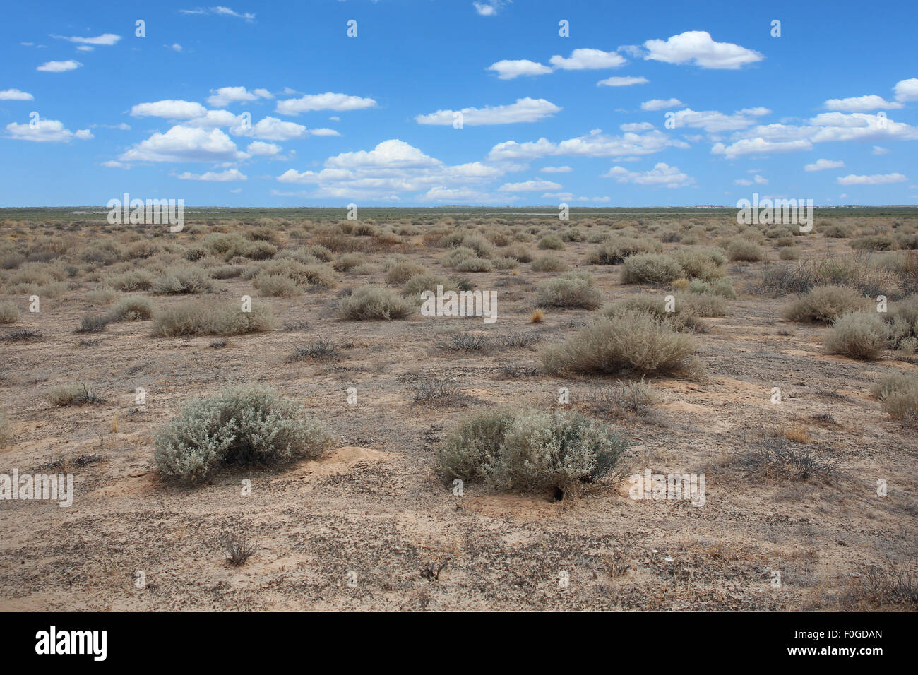 Desert Flat Wasteland in Sonora region of Arizona Mexico Border land Stock Photo
