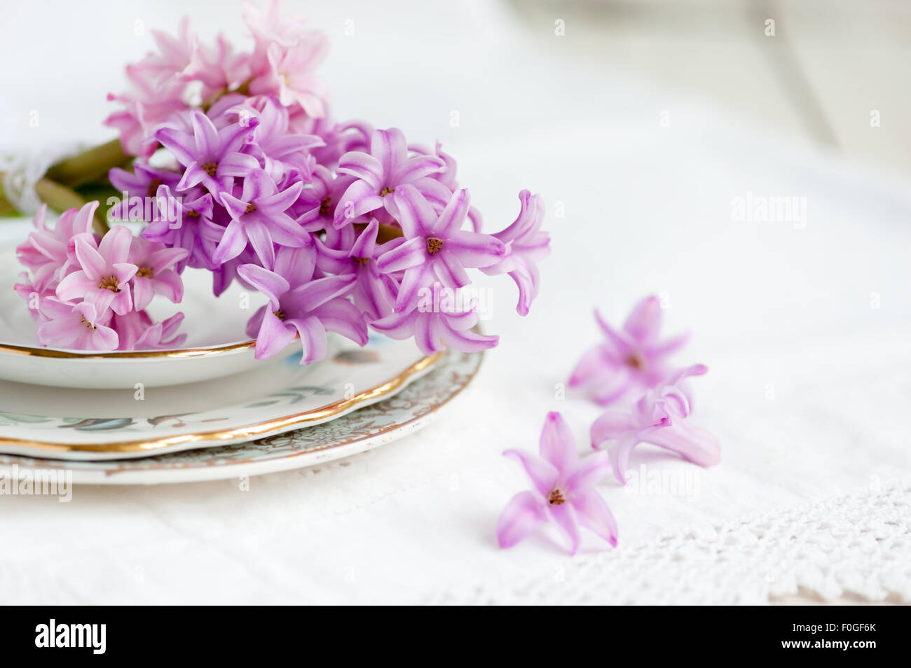 pink hyacinths on vintage crockery on white Stock Photo