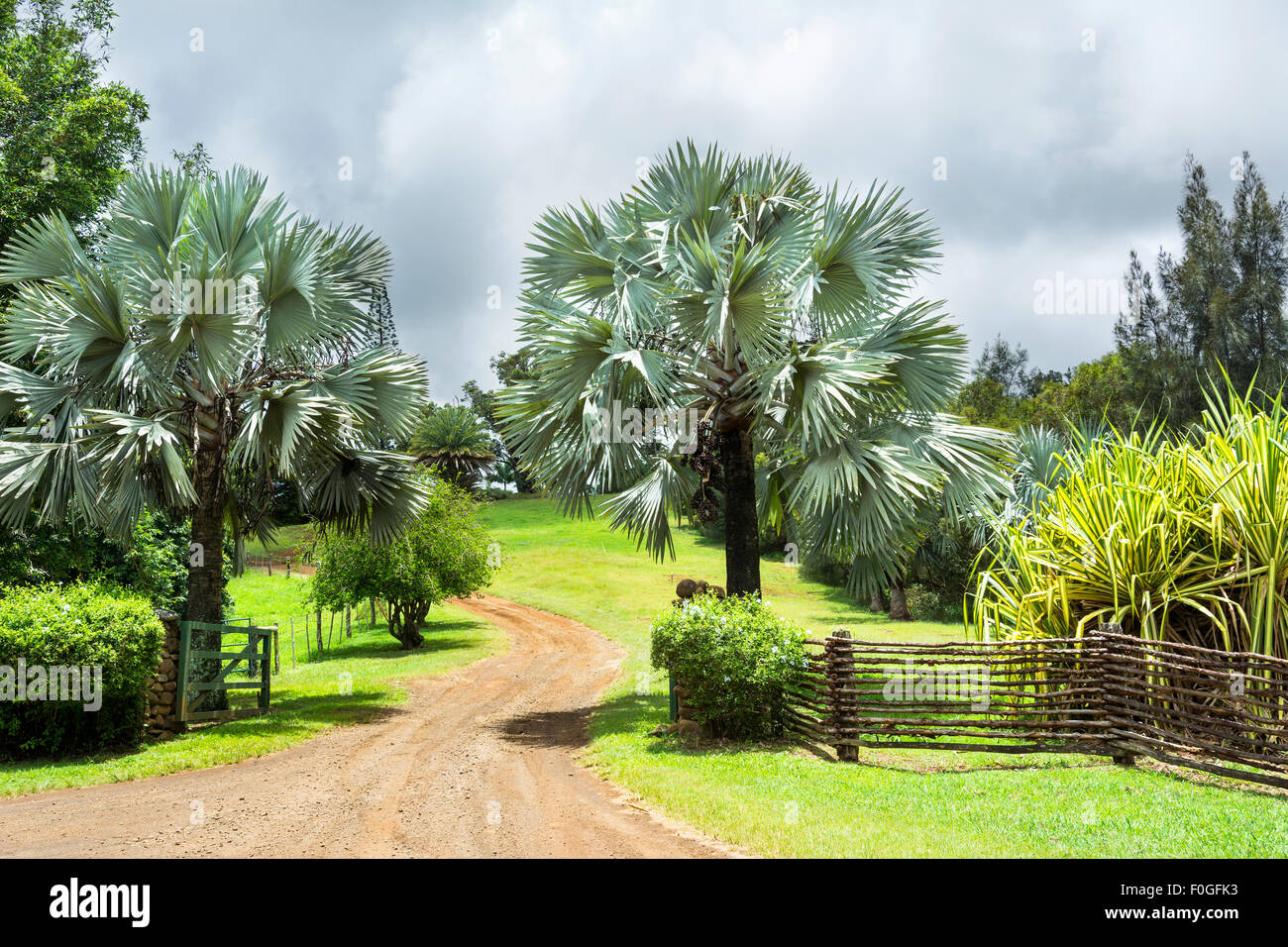 Entrance to a ranch in the highlands of Hawaii lined with trees and vibrant foliage. Stock Photo