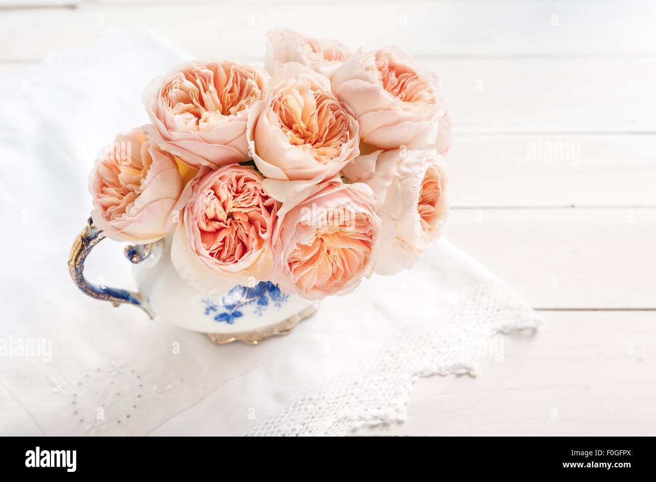 Juliet rose david austin hi-res stock photography and images - Alamy