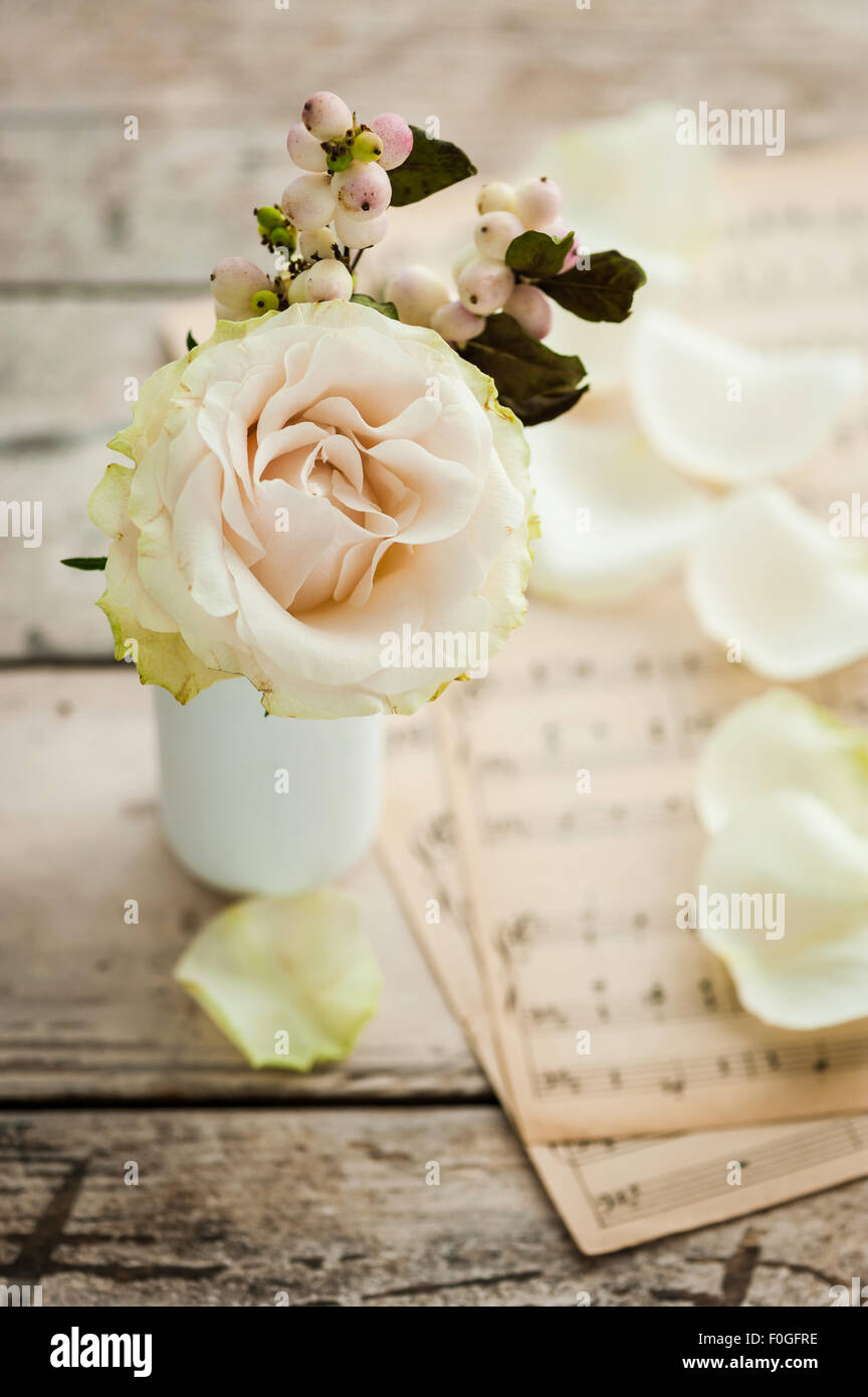 single ivory rose with snowberries and music paper in the background Stock Photo