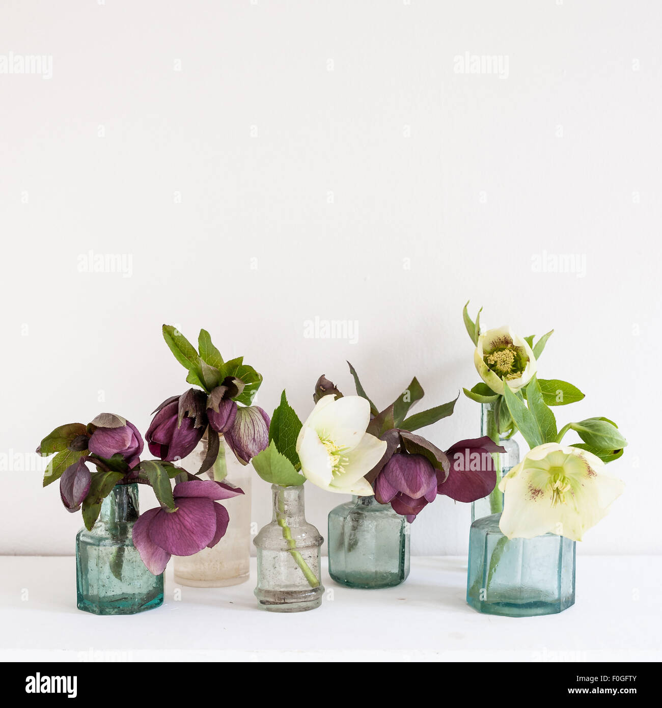 a collection of vintage ink bottles with white and purple hellebores on a white shelf Stock Photo