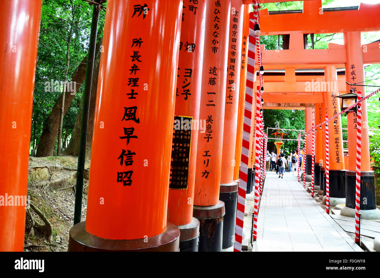 People travel and walking path inside through a tunnel of torii gates ...