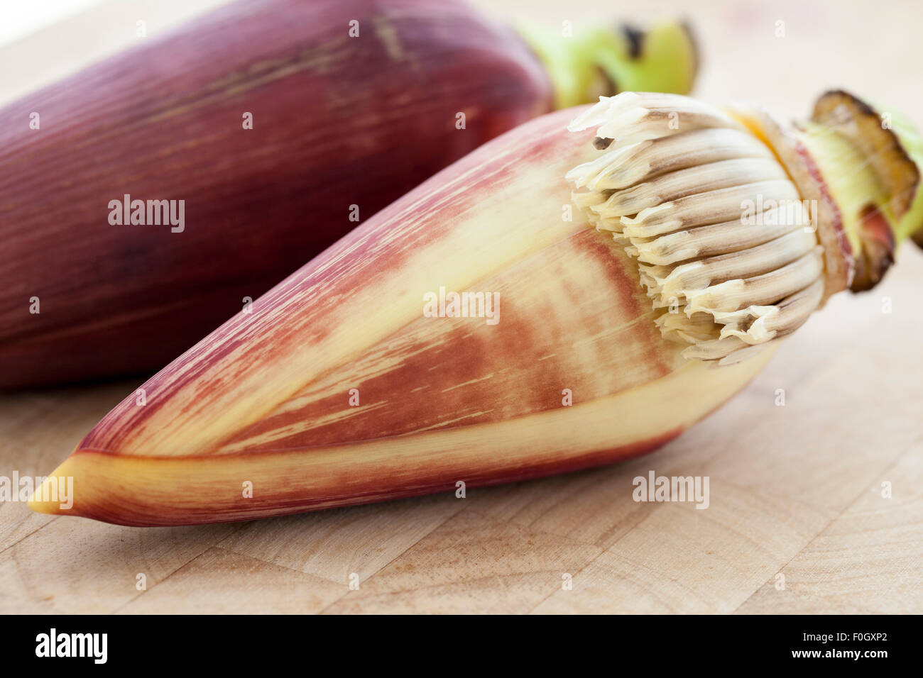 Banana blossom banana heart photographed hires stock photography and