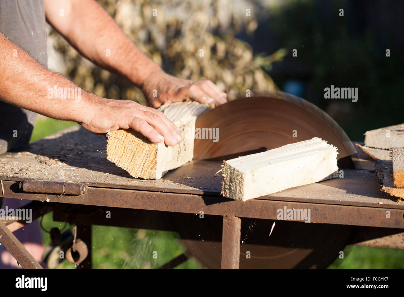 Lumberman working on circular saw Stock Photo
