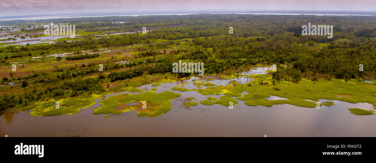 Amazon River floodplane lake near Iquitos aerial Stock Photo