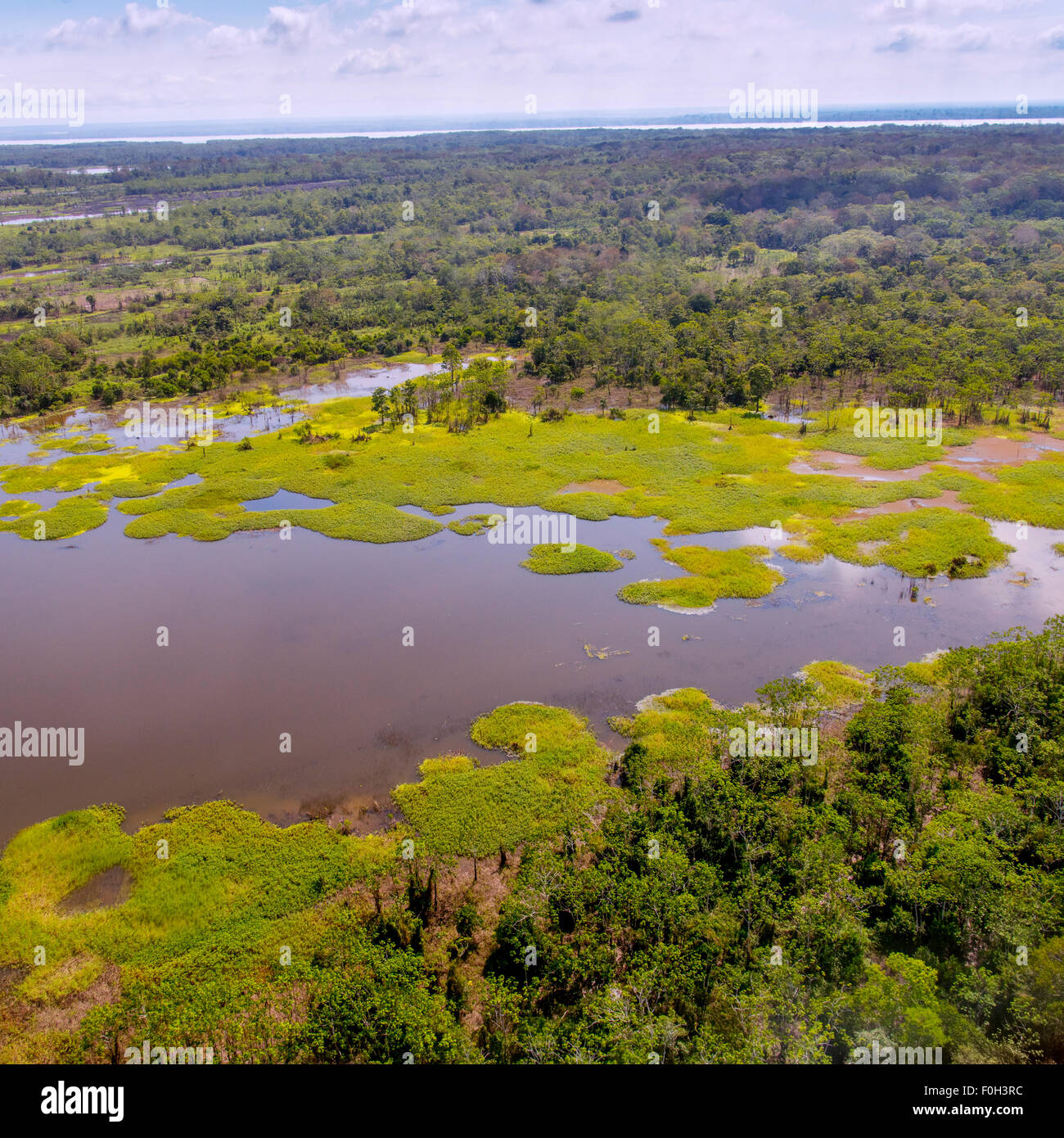 Amazon River floodplain near Iquitos aerial Stock Photo