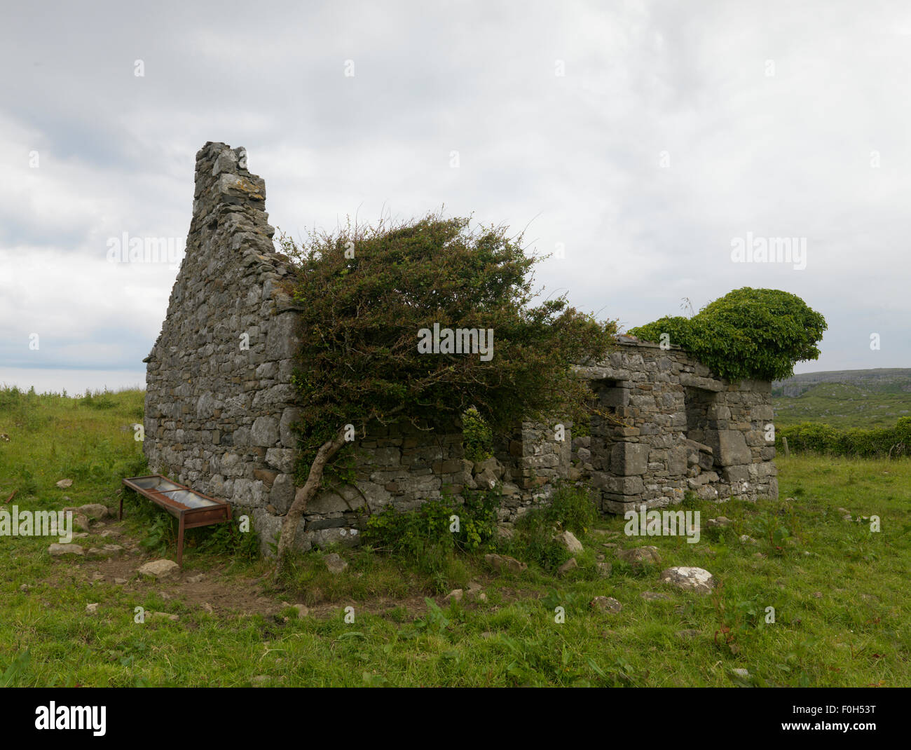 Overgrown plants in buildings hi-res stock photography and images - Alamy