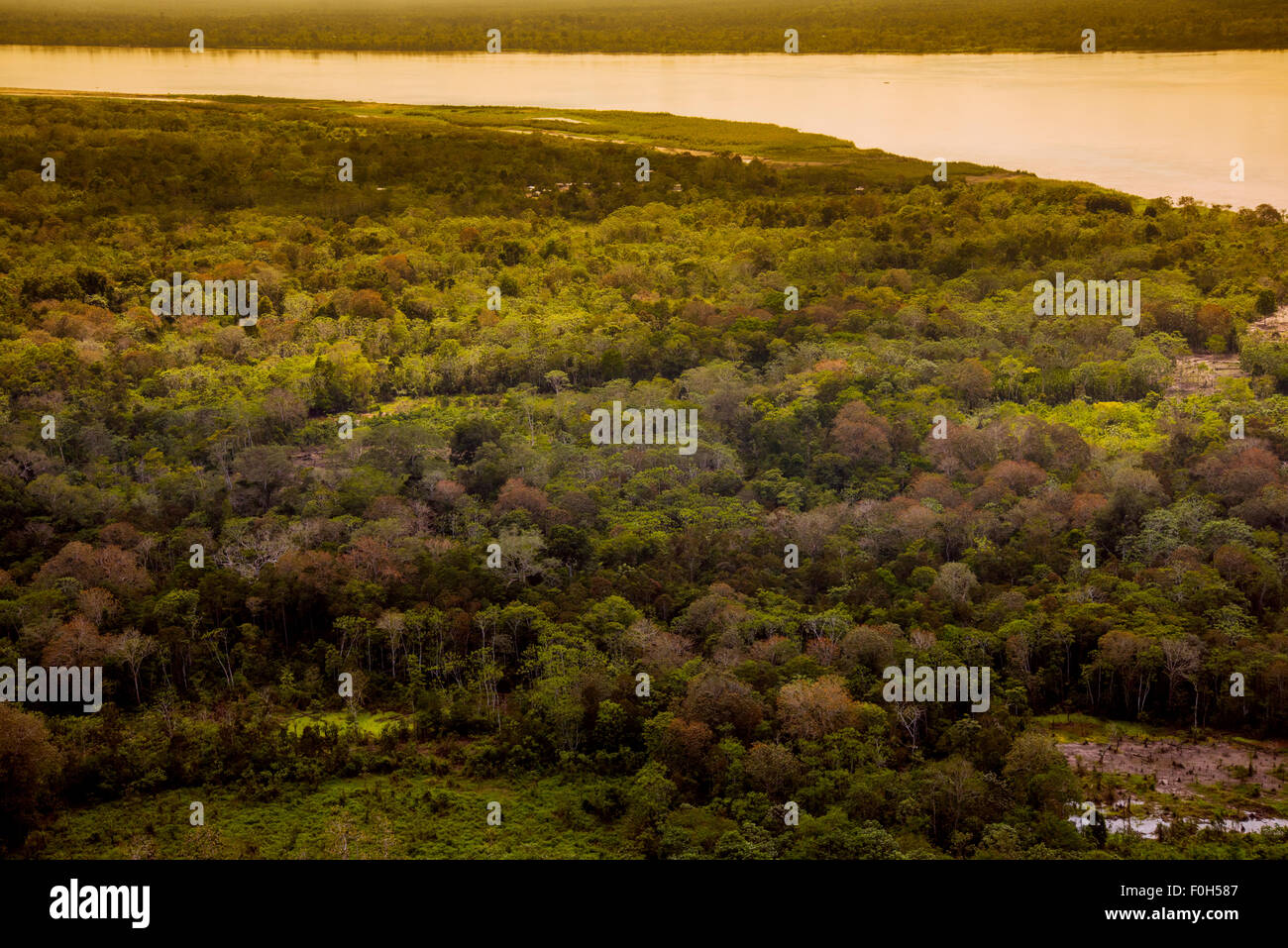 Amazon rainforest peru hires stock photography and images Alamy
