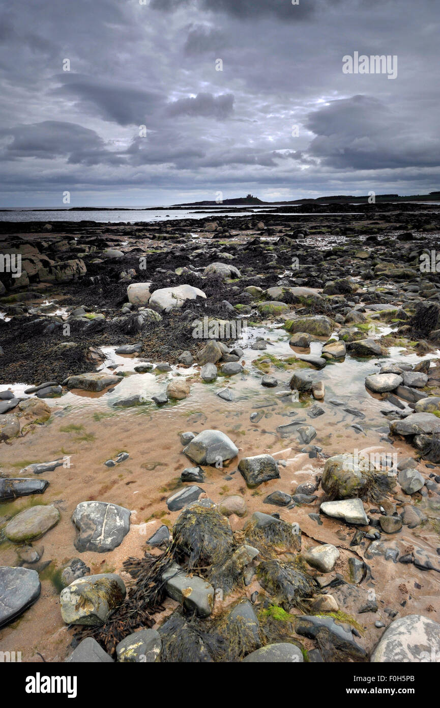 embleton beach northumberland Stock Photo Alamy