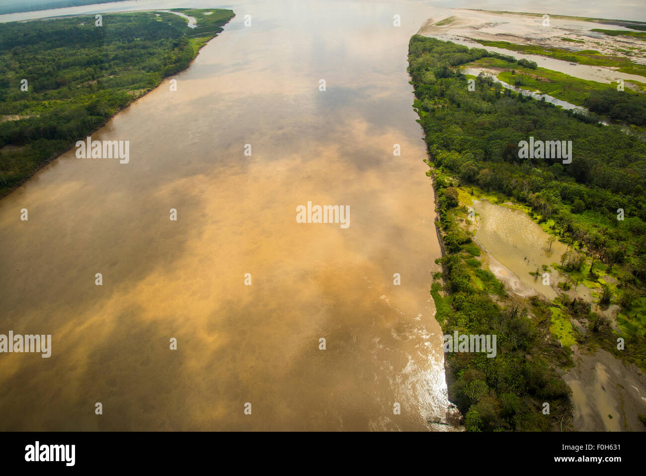 Peru amazon rainforest hires stock photography and images Alamy