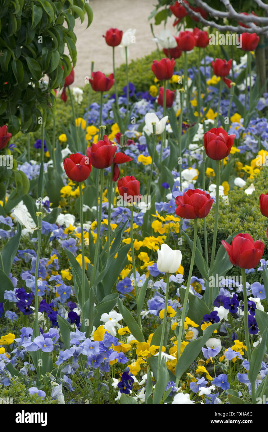 Blumenbeet, Fruehjahrsblumen, Stock Photo