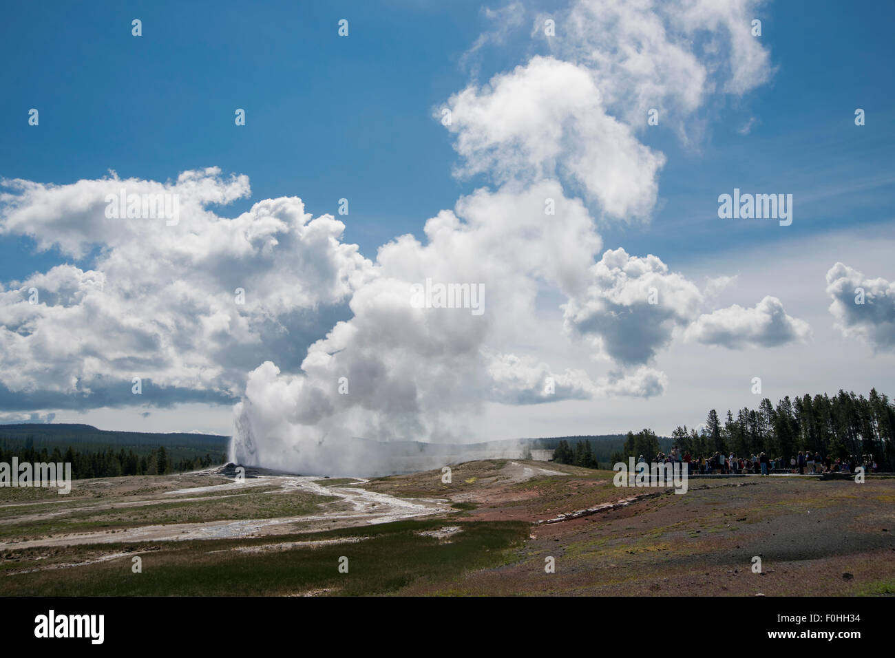 Old Faithful - most predictable geyser in Yellowstone National Park , Wyoming, USA Stock Photo