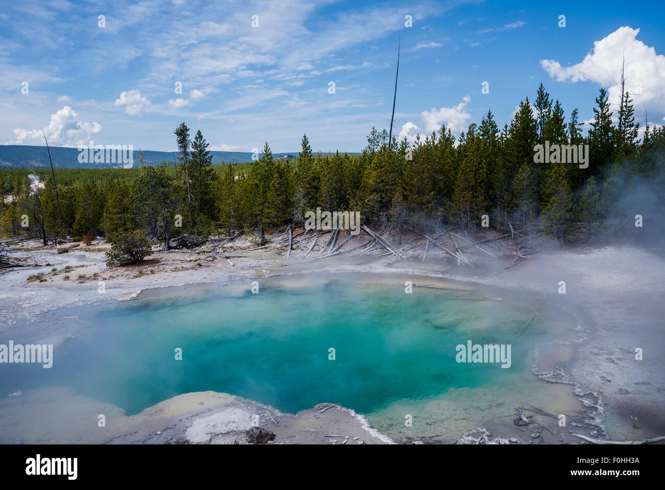 Emerald Spring is a hot spring located in Norris Geyser Basin of Yellowstone National Park, Wyoming, USA. Stock Photo