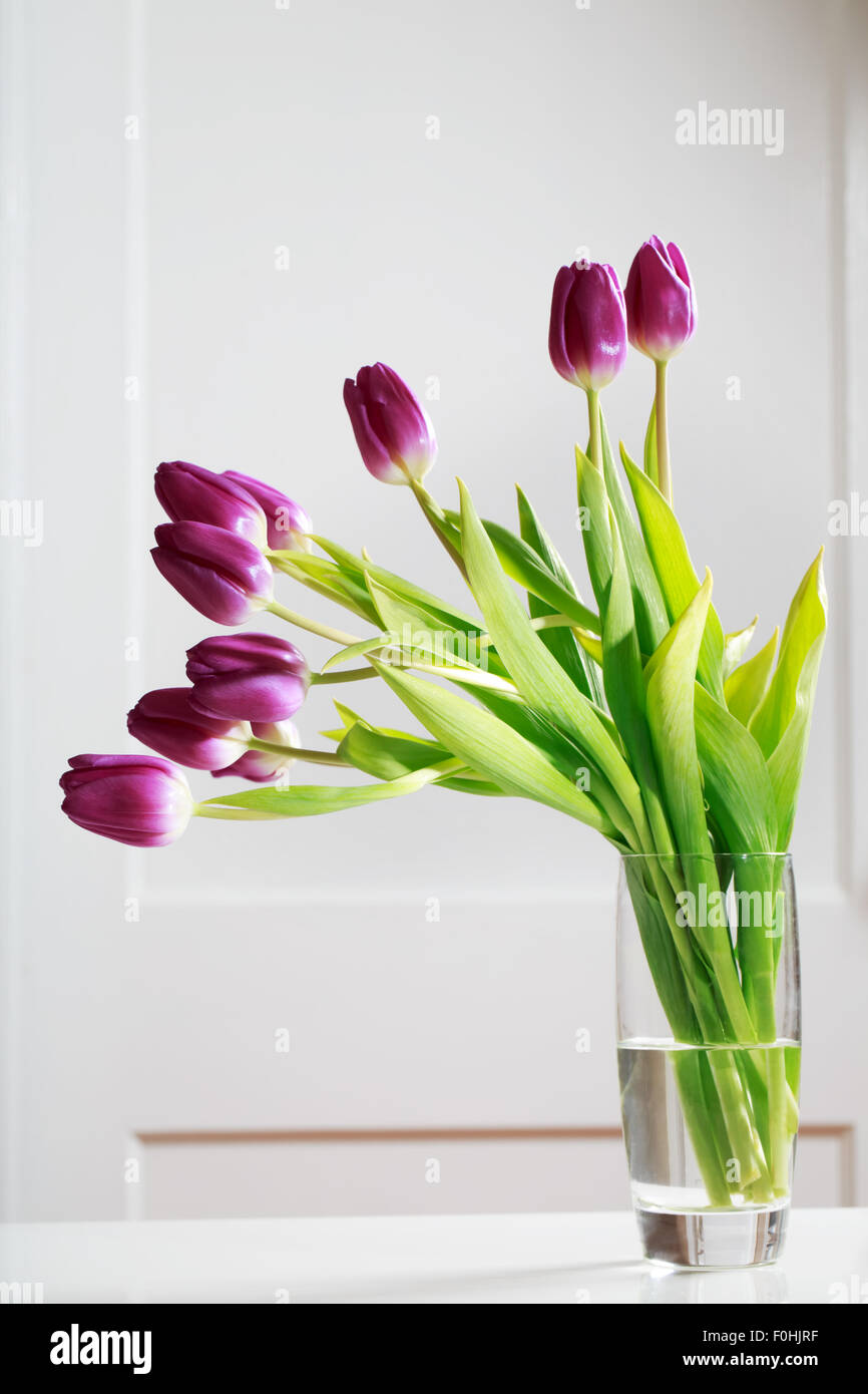 Beautiful purple tulips in vase over white wall Stock Photo - Alamy