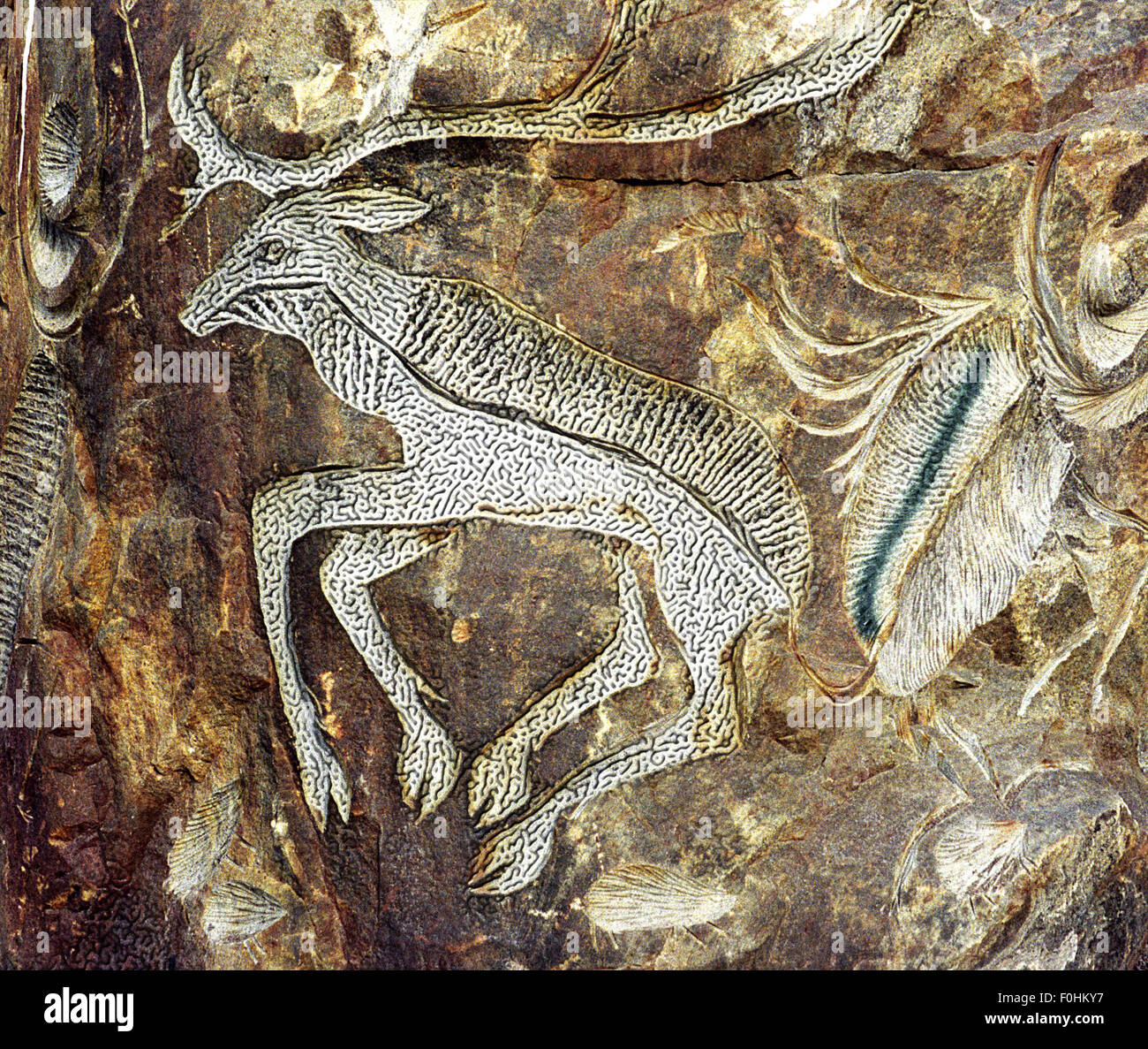 Inuit Rock carvings Stock Photo Alamy