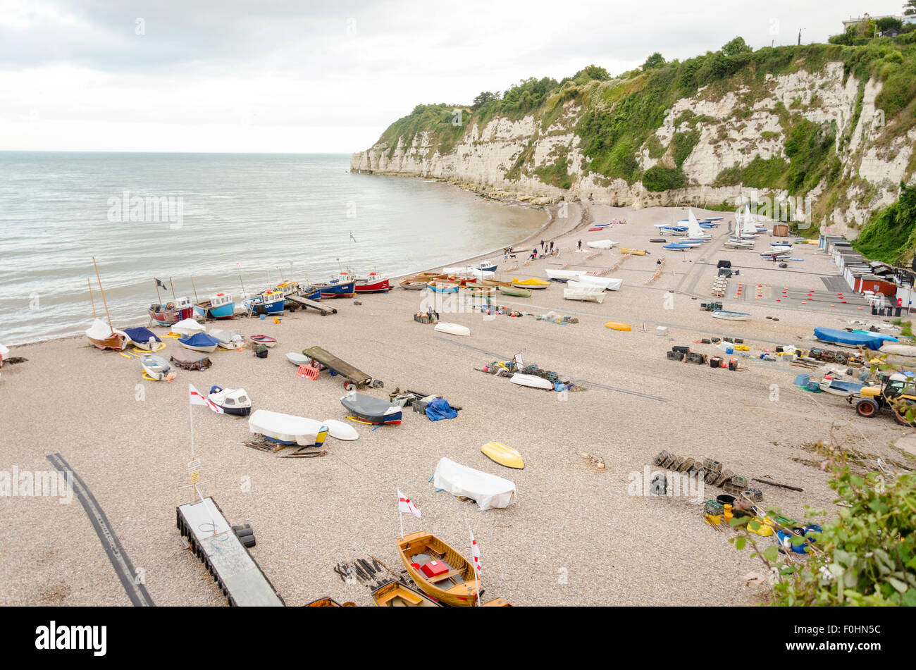 Beer_east_devon High Resolution Stock Photography and Images Alamy