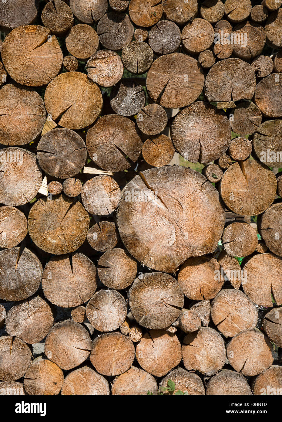 close up of tree logs. Stock Photo