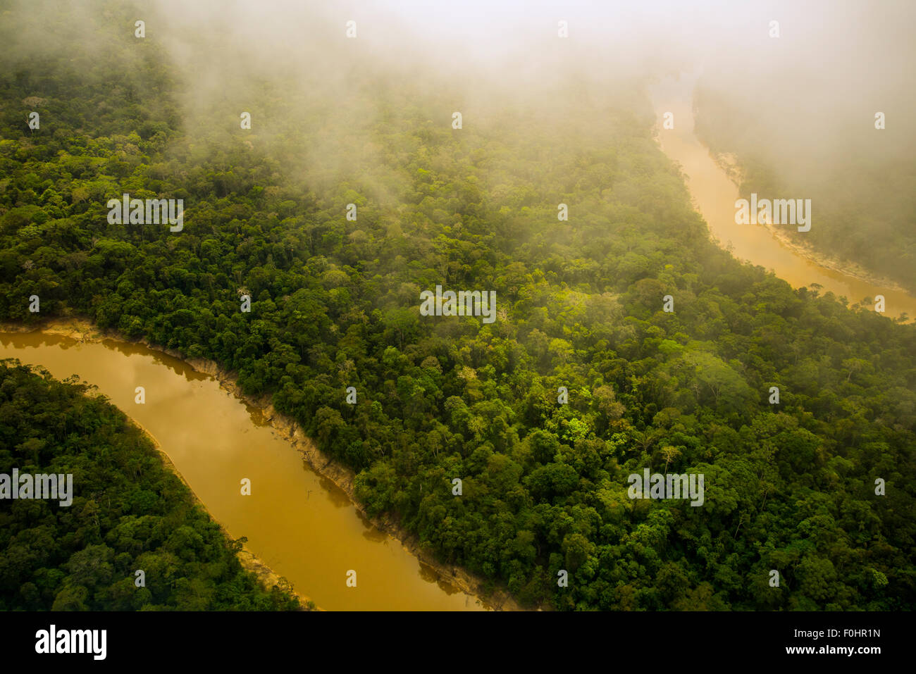 Amazon Rainforest aerial. Primary forest, Yavari Miri River, between Iquitos, Peru and Brazilian border Stock Photo
