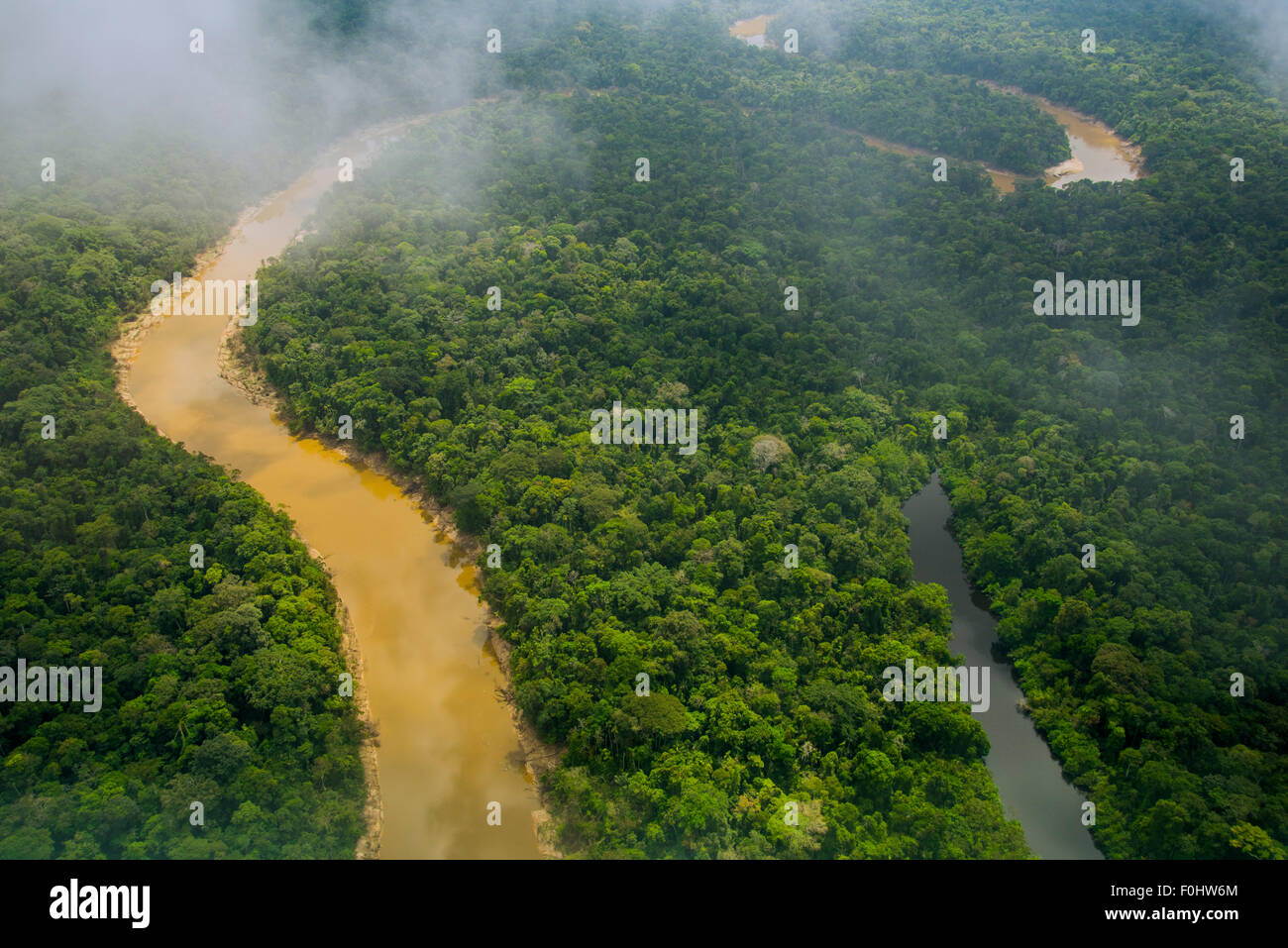 Amazon Rainforest aerial. Primary forest, Yavari Miri River and oxbow lake, between Iquitos, Peru and Brazilian border Stock Photo