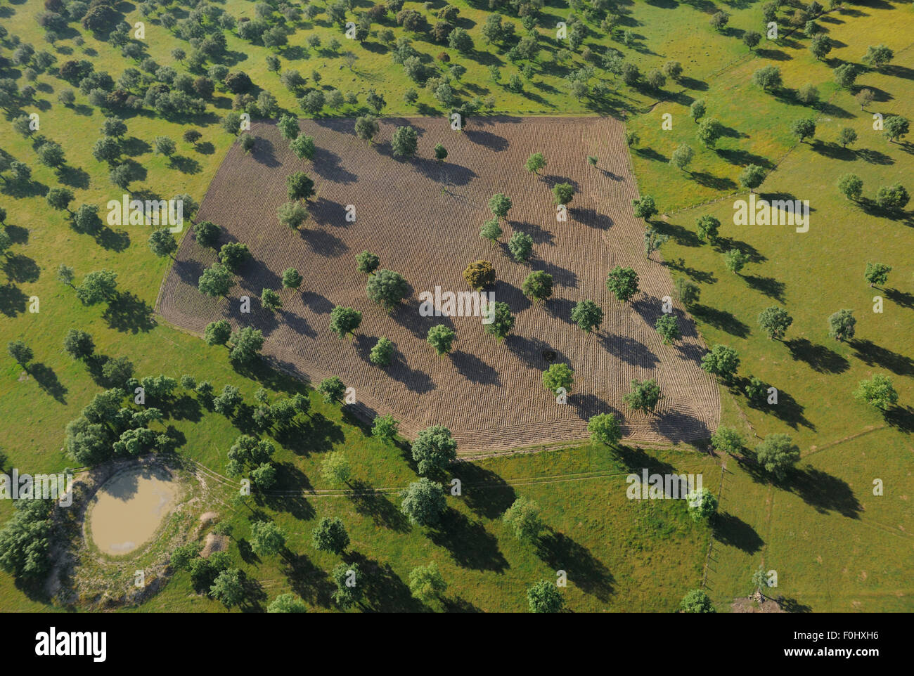 Aerial image of Dehesa forest with pond and cultivated land, Salamanca Region, Castilla y Leon, Spain, May 2011 Stock Photo