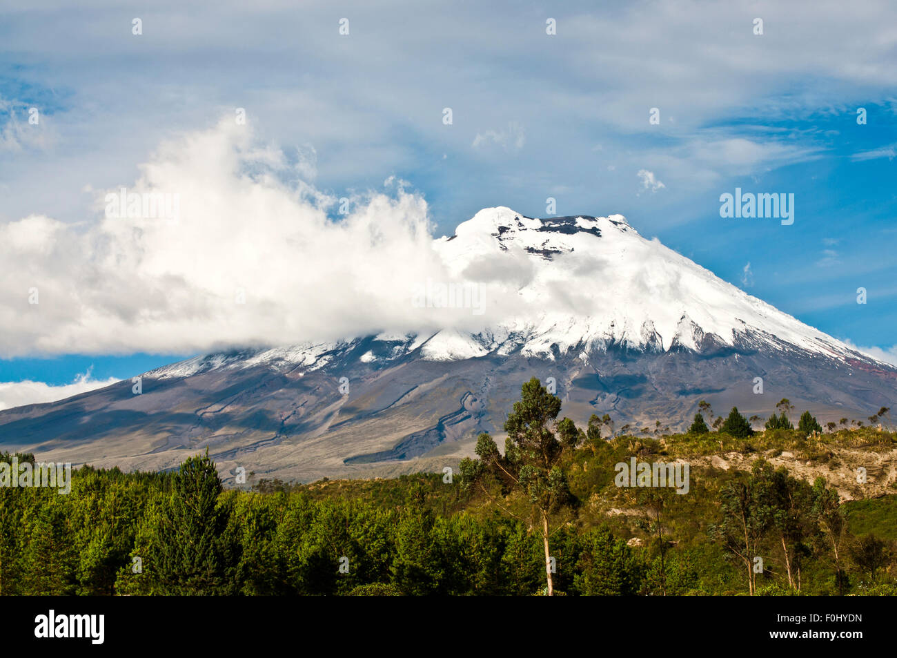 Cotopaxi volcano over the plateau, Andean Highlands of Ecuador, South