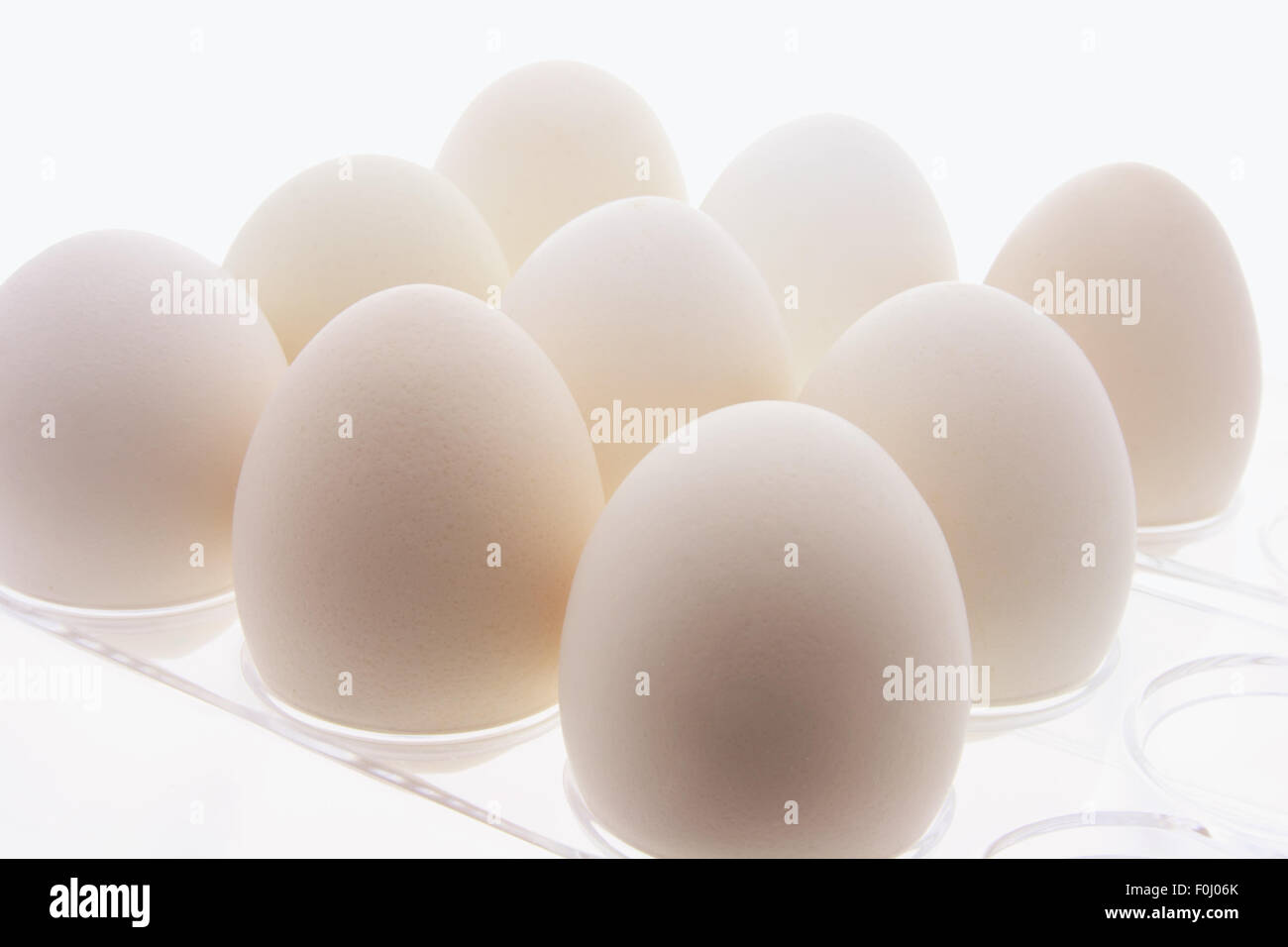 White Eggs on Plastic Egg Carton Stock Photo