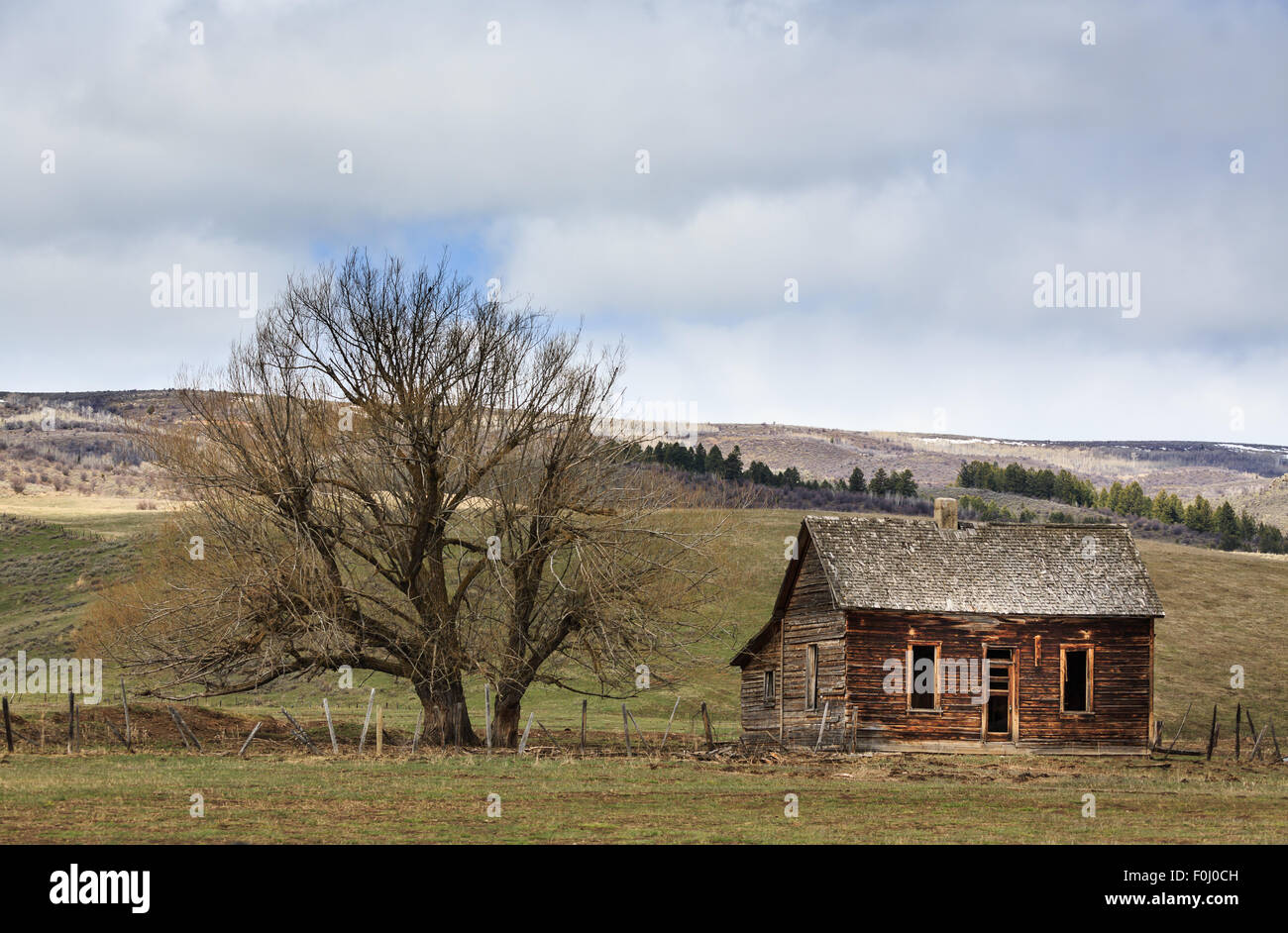 Abandoned log cabin farmhouse and tree in the middle of a field and rolling hills Stock Photo