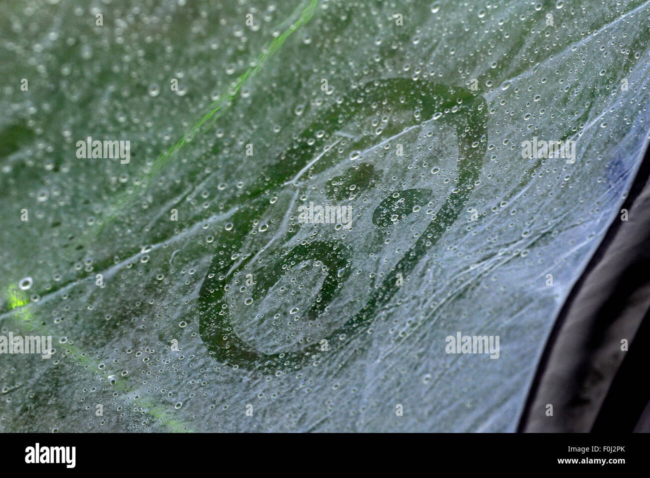 Words written in the condensation on a tent canvas Stock Photo - Alamy