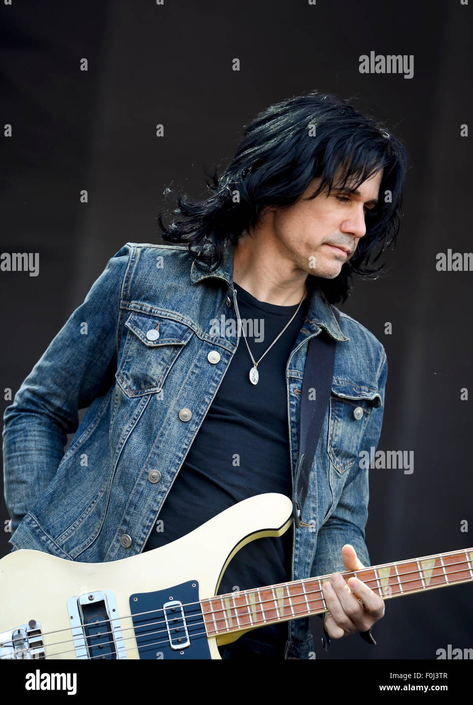 Bassist Tommy Black of the band 'Scott Weiland and the Wildabouts' performing at the Carolina Rebellion Stock Photo
