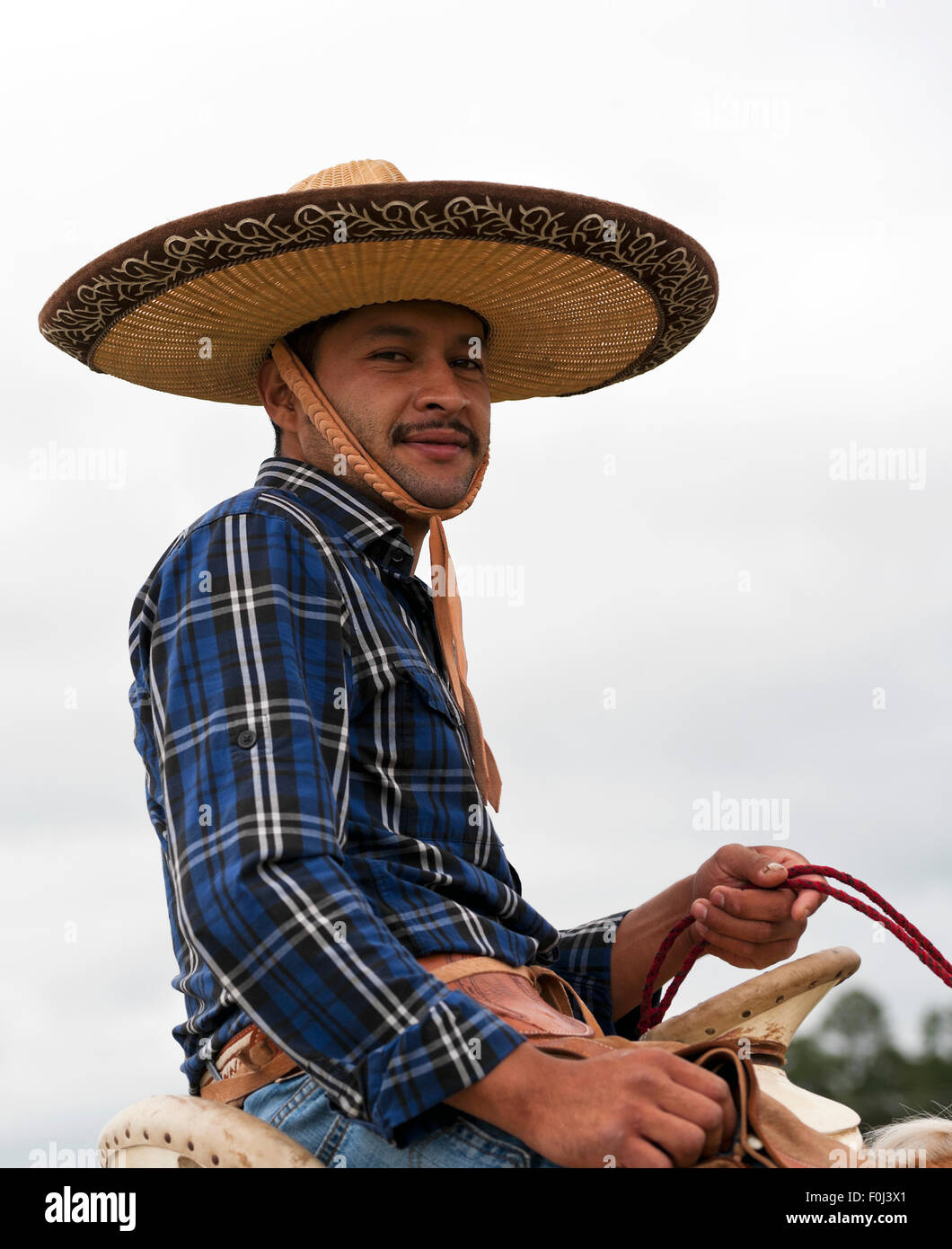 Azteca breed Mexican dancing horse and rider Stock Photo