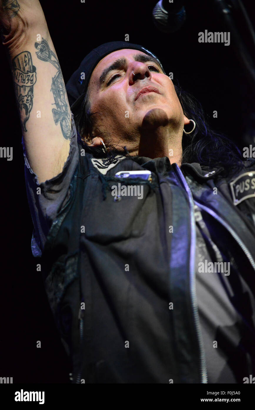 Singer Pussycat High Resolution Stock Photography and Images Alamy