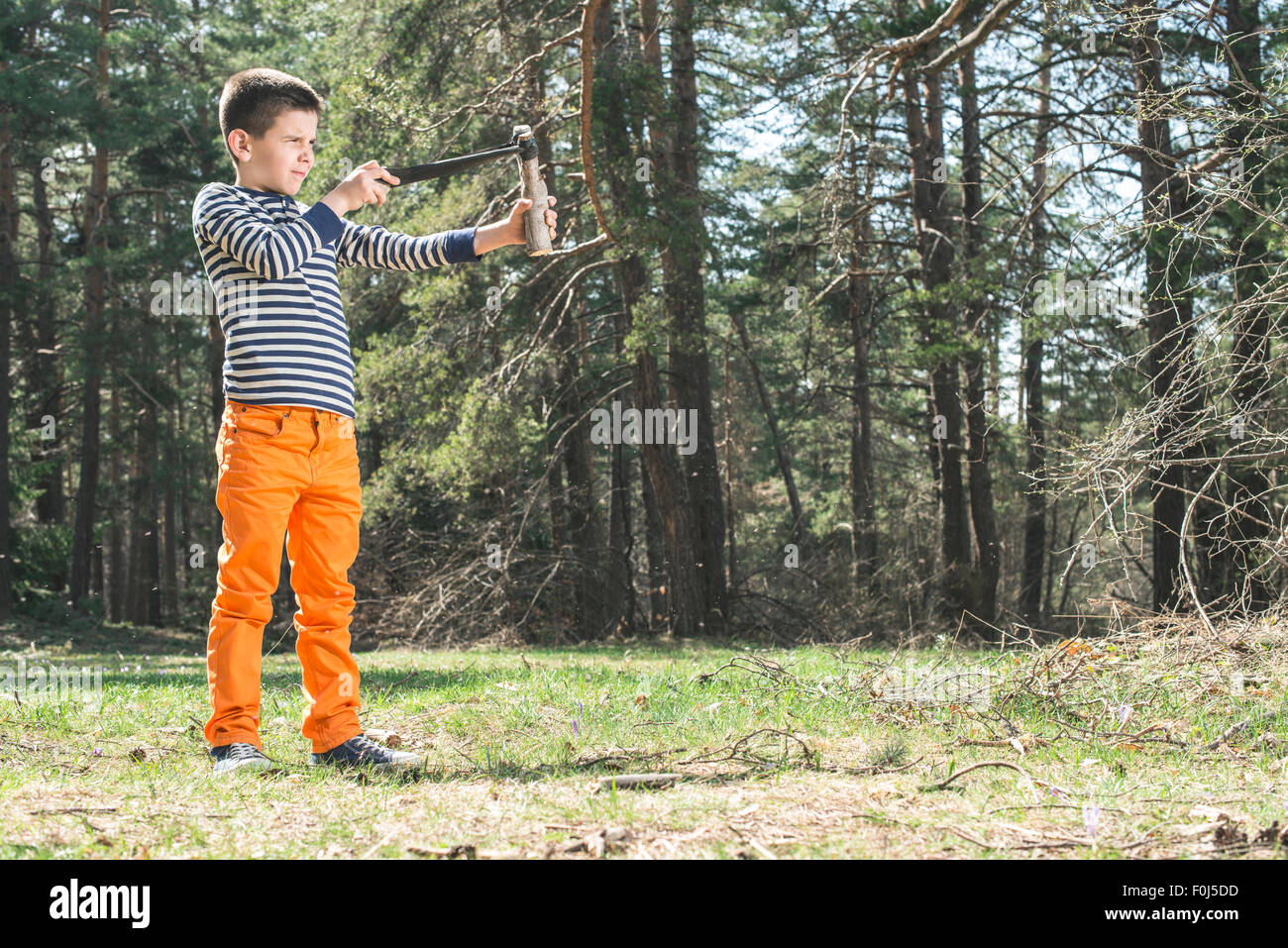 Child play with sling toy in the forest. Stock Photo
