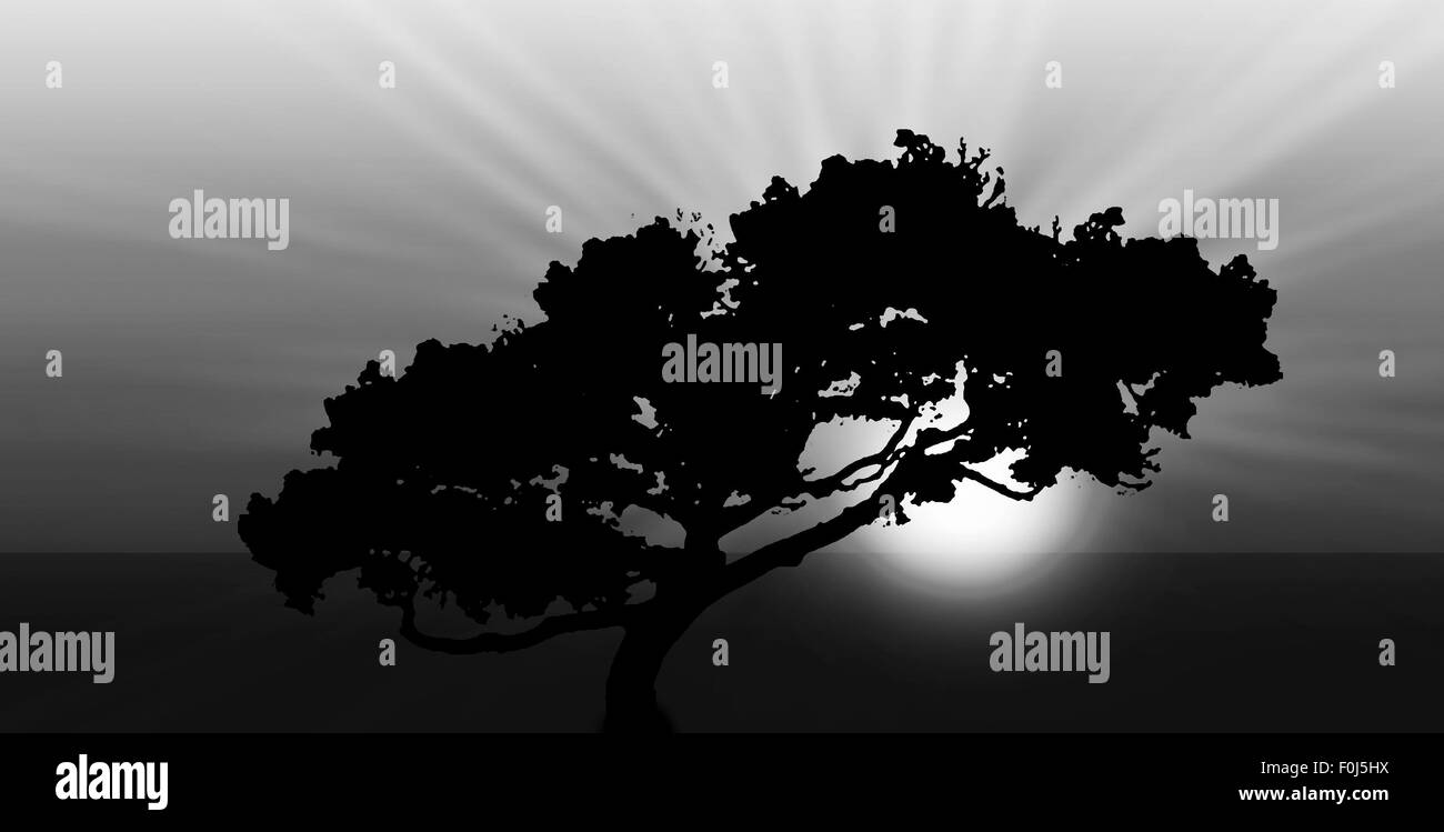 Exotic sunrise or sunset - Silhouette of a large tree Stock Photo