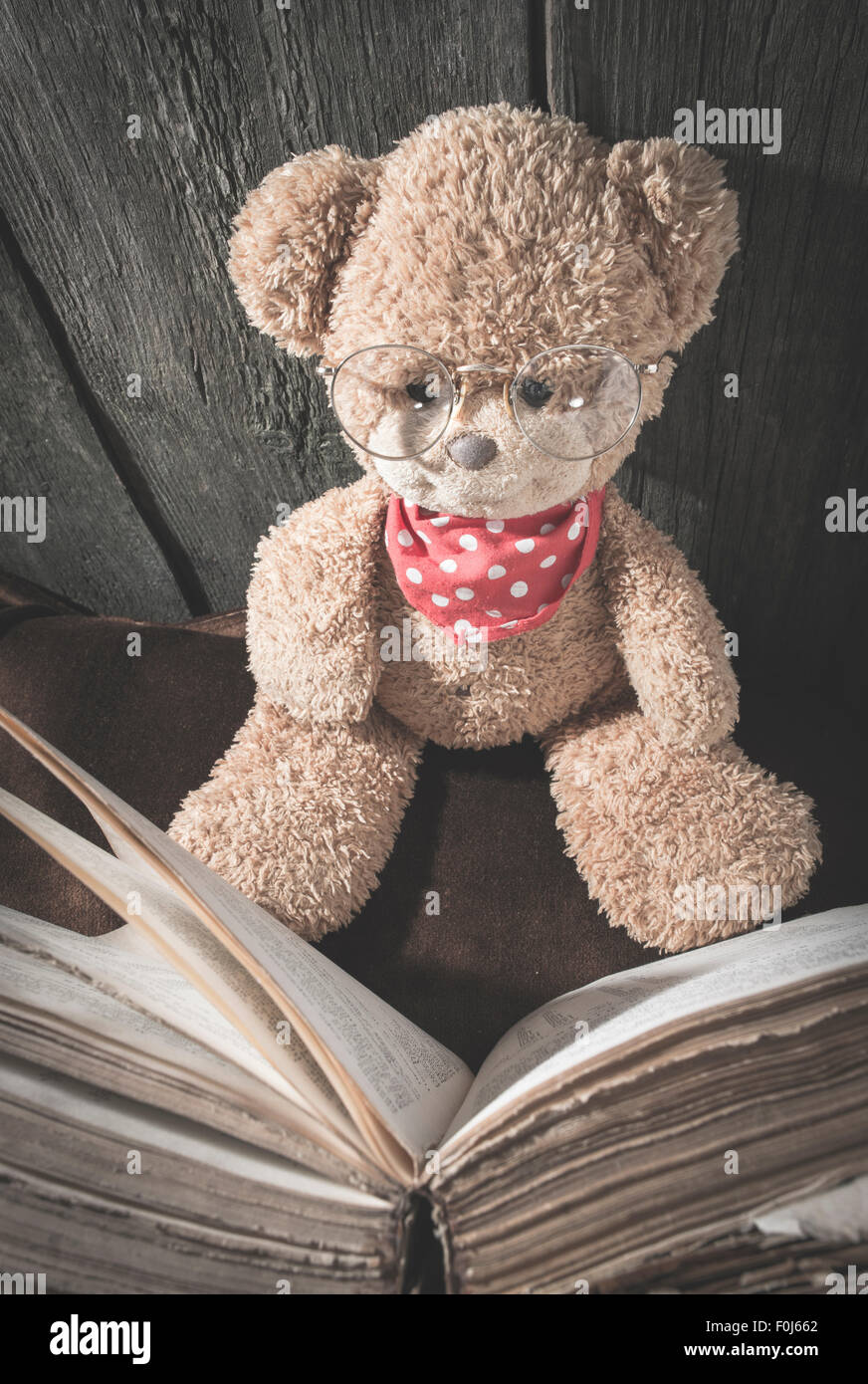 Children and teddy bear hi-res stock photography and images - Alamy